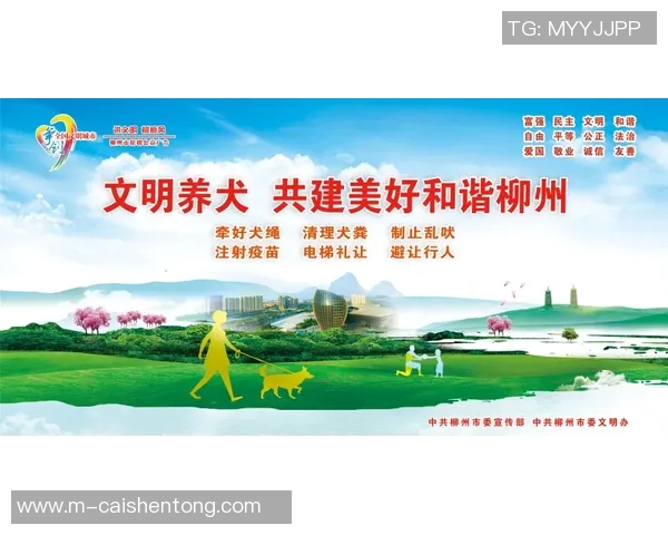 足球文明的传承与发展:构建和谐社会的新动力与新视角 足球文明的传承与发展:构建和谐社会的新动力与新视角